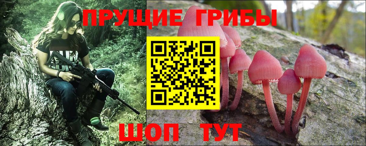 Галлюциногенные грибы прущие грибы  Вход с VPN  Саров  Псилоцибиновые грибы Magic Shrooms 