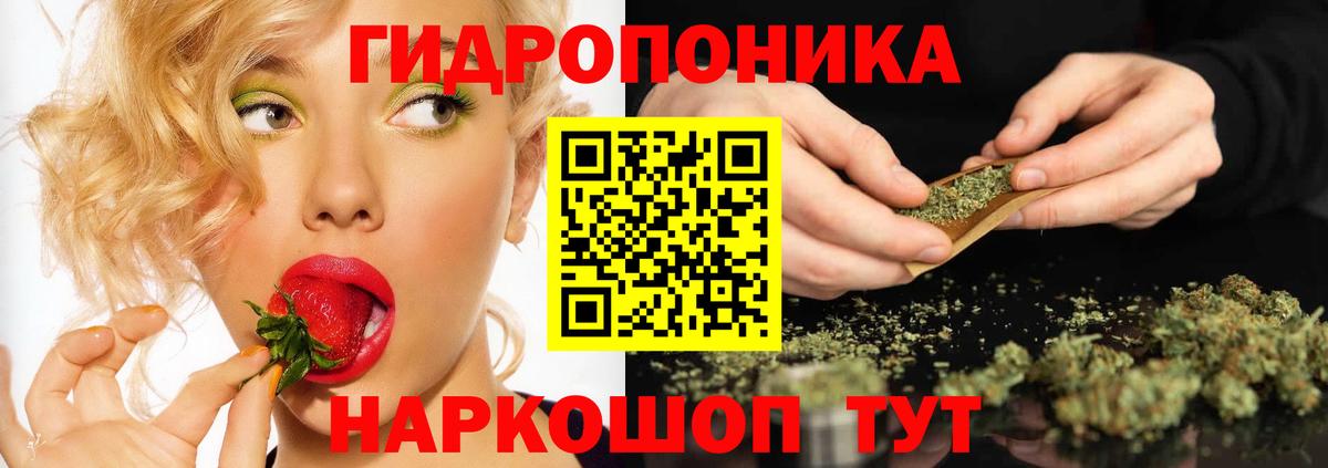 Канабис конопля Саров